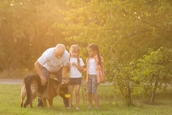 Nagyapa és unokái kutyát sétáltatnak. — Stock Fotó