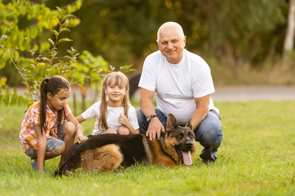 걷기 위해 개를 데리고 다니는 할아버지와 할머니들 — 스톡 사진
