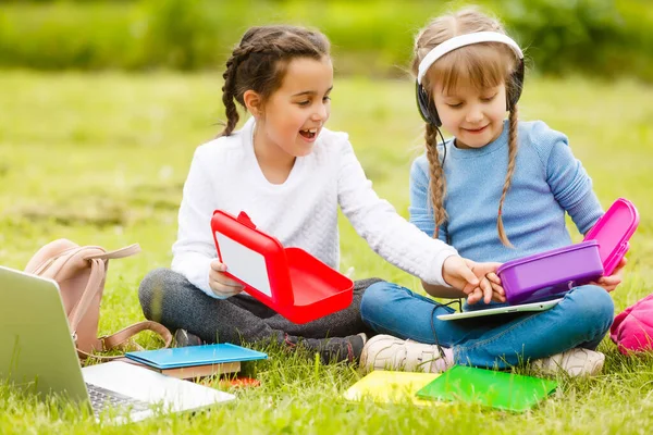 kids on the picnic in school grass yard are coming eat lunch in box. parent take care of childcare.