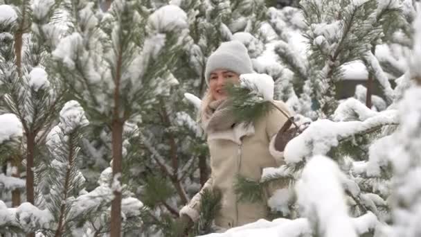 Красивая женщина стоит среди снежных деревьев в зимнем лесу и наслаждается первым снегом. Женщина в зимних лесах. — стоковое видео