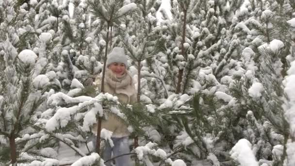 Piękna kobieta stojąca wśród śnieżnych drzew w zimowym lesie i ciesząca się pierwszym śniegiem. Kobieta w zimowych lasach. — Wideo stockowe