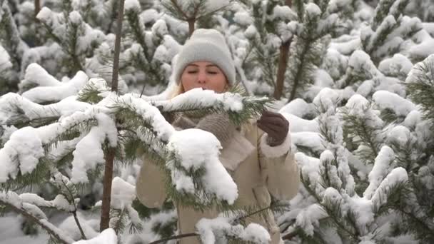Dívka v bílých šatech stojí blízko borovice ve sněhu. — Stock video
