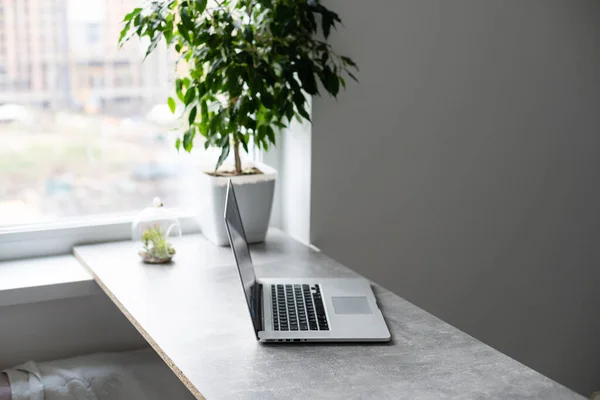 편안 한 작업 공간. 사무실에서 편안 한 작업 장소를 클로즈업 나무 테이블과 그 위에 누워 노트북 — 스톡 사진
