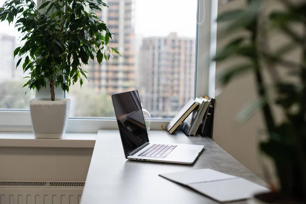 Arbeitsplatz auf grauem Tisch mit Laptop Computer grün Flower Red Stuhl und Bleistiften in modernem Bürointerieur mit großem Fenster im Hintergrund — Stockfoto