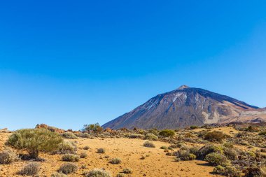 Lav akıntısı Teide Dağı volkanı, Teide Ulusal Parkı, Tenerife, Kanarya Adaları, İspanya