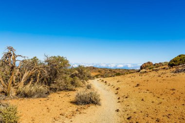 Lav akıntısı Teide Dağı volkanı, Teide Ulusal Parkı, Tenerife, Kanarya Adaları, İspanya