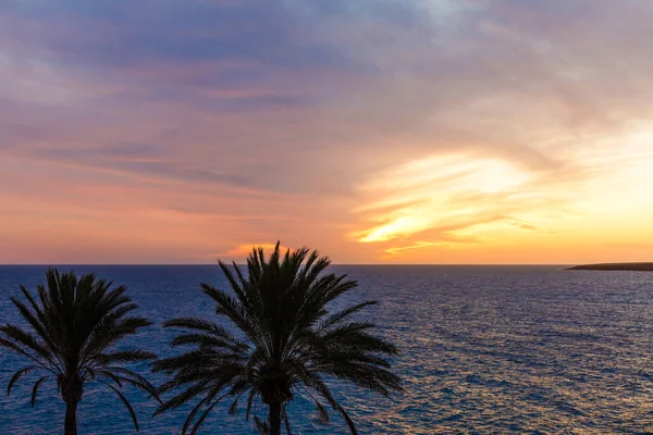 Palmboom silhouet bij zonsondergang op de Canarische eilanden — Stockfoto