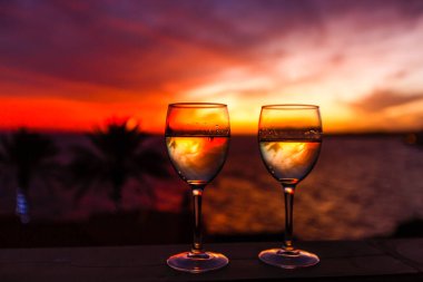 Gün batımında kanarya adalarında palmiye ağacı silueti