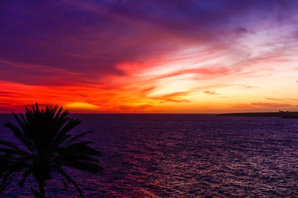 Silhouette di palma durante il tramonto nelle isole canarie — Foto Stock