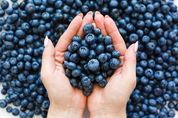 Surface is covered with a thick layer of blueberries, moorland harvest. Natural background. — Stock Photo, Image
