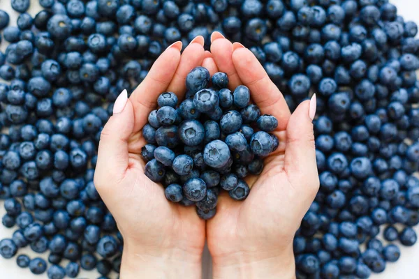 Large ripe blueberries in female hands on a gray background. A handful of blueberries. — Stock Photo, Image