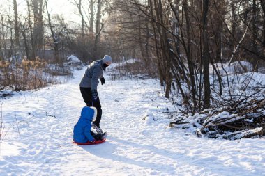 Babalar ve çocuklar kızakla kayıyor, aile kışın eğleniyor.