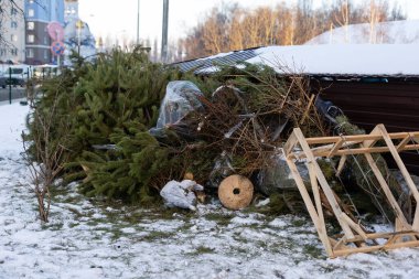 Yeni yıl kutlamasından sonra çöpte Noel ağacı. Çöp kutusunda kullanılmış ahşap.