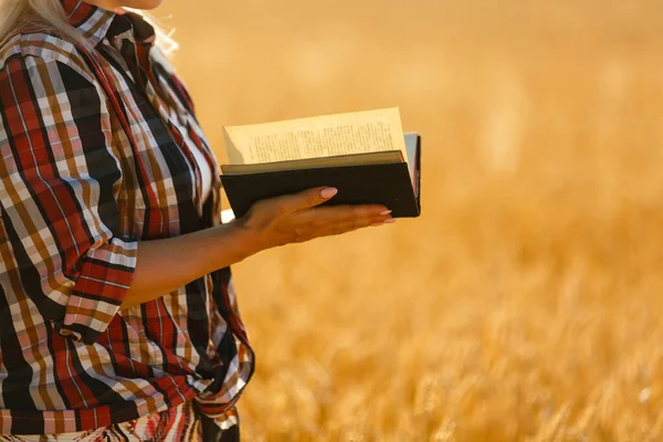 Mulher segurando uma Bíblia, um campo natural. — Fotografia de Stock