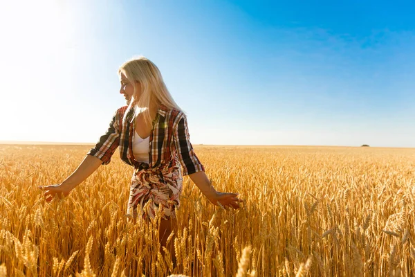 Mulher em um campo de trigo no fundo do sol poente — Fotografia de Stock