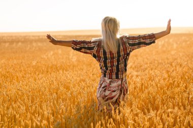 Batan güneşin arka planındaki buğday tarlasında bir kadın.