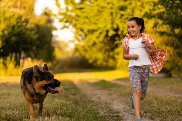 Menina caminhando com o cão no prado — Fotografia de Stock