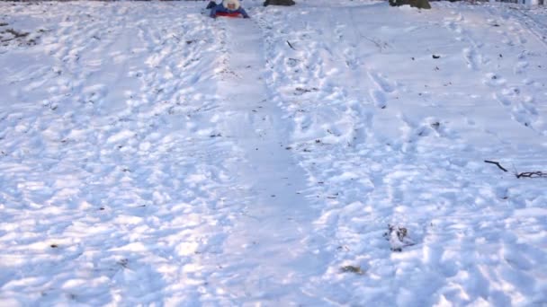 Uma menina em uma colina de neve, um vai para baixo em um trenó de gelo — Vídeo de Stock