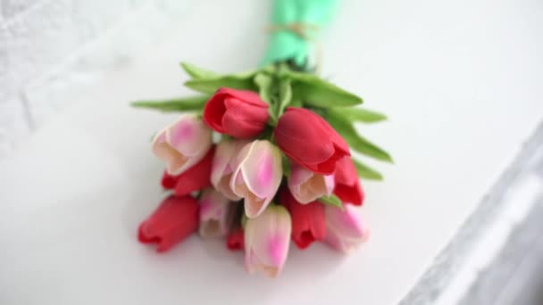 Kilka tulipanów izolowanych na białym tle — Wideo stockowe