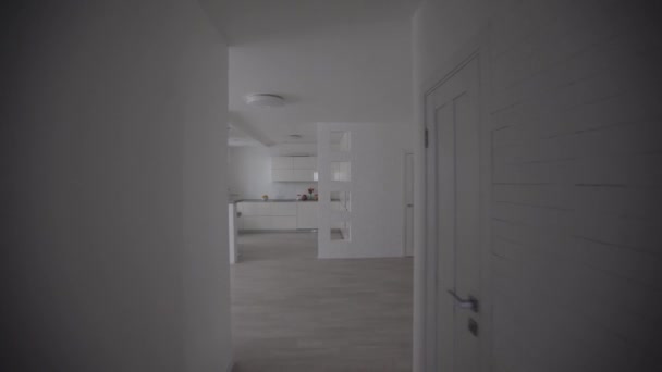 Modernt vardagsrum interiör, rum i lägenheten — Stockvideo