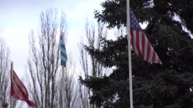 Amerika, İsrail ve Çin bayrağı