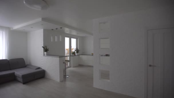 Ilustración 3D. apartamento loft con sala de estar y cocina — Vídeos de Stock