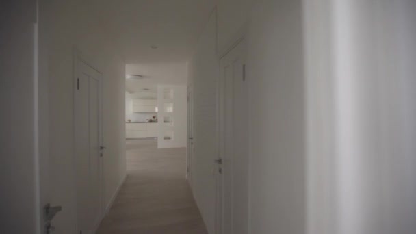 Descripción del apartamento interior, salón y cocina vacíos — Vídeo de stock