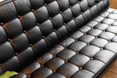 Bitkili koyu deri kanepe.