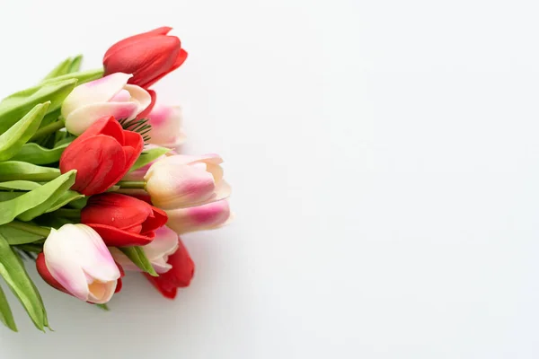 Martwa natura z kolorowymi tulipanami — Zdjęcie stockowe