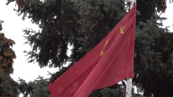 Viftar med Kinas röda flagga i vinden. Flagga Sömlös Loop Republiken Kina — Stockvideo