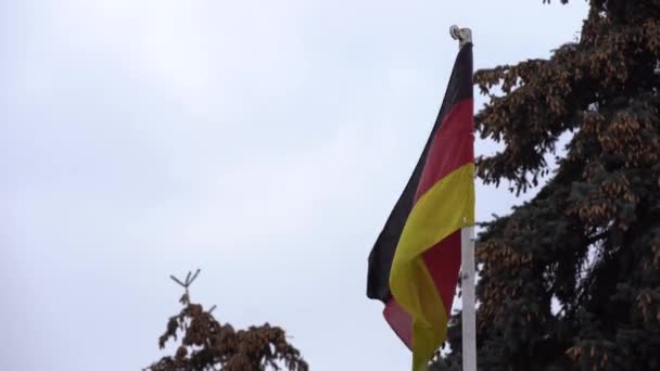 Σημαία Γερμανίας. Σημαίες υφάσματος φτερουγίζουν στον άνεμο μια συννεφιασμένη μέρα. — Αρχείο Βίντεο