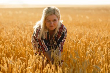 Buğday dikenlerinin ortasında bir kız. Kafkasyalı kadın dikenli çubuklarla dışarıda poz veriyor..
