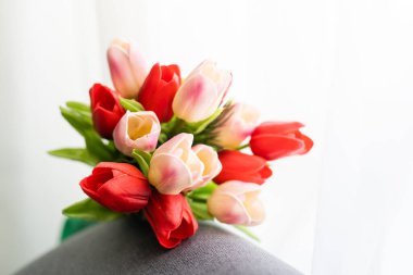 Renkli lalelerle dolu bir hayat