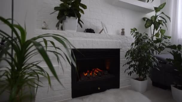 Növények közel a kandalló a nappaliban — Stock videók