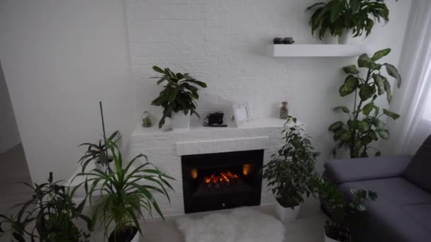 Plantas cerca de la chimenea en la sala de estar — Vídeo de stock