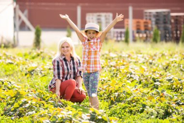 Kızı ve annesi sebze bahçesinde çalışıyor, çilek hasat ediyorlar.