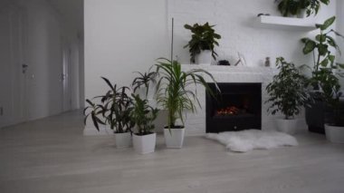 Oturma odası manzarası, dinlenme odası ve mutfak boş.