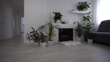 3 boyutlu görüntüleme. Modern oturma odası.