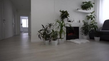 Oturma odası manzarası, dinlenme odası ve mutfak boş.