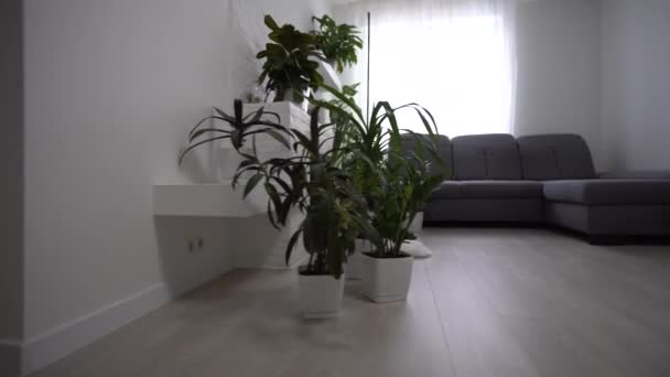 3D-Rendering. Modernes Wohnzimmer im Stadthaus — Stockvideo