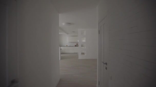Nowoczesny salon Wnętrze, pokoje w mieszkaniu — Wideo stockowe