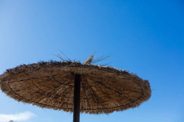 Reed Sahili Şemsiyeleri Mavi Gökyüzüne Karşı