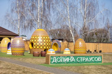 KIEV, UKRAINE - 30 Mart 2021: Yasnogorotka, Kyiv bölgesinde devekuşu çiftliği. Bir çiftlikte devekuşu yetiştirmek.