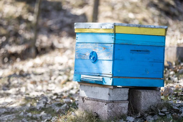 Staré včelí úly ve včelíně na jaře. — Stock fotografie