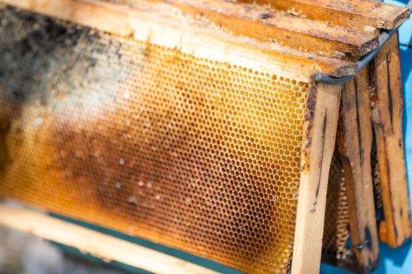 Alte Bienenstöcke im Bienenhaus im Frühjahr. — Stockfoto