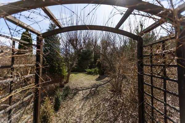 Vroege lentetuin - Maak je klaar — Stockfoto