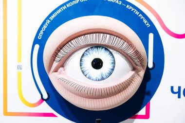 İnsan gözü beyaz modelde izole edilmiş..