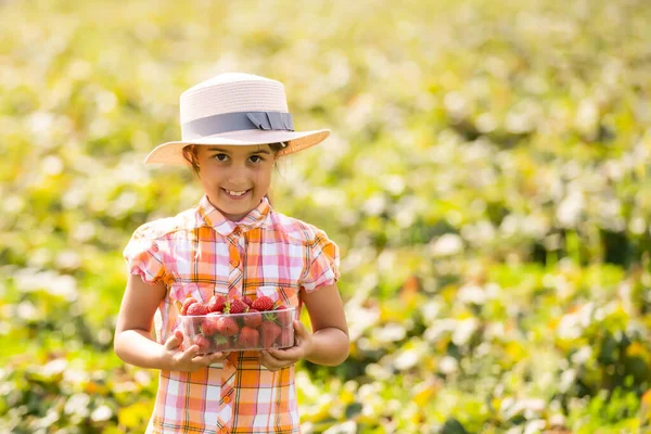 Маленька дівчинка збирає полуницю в полі — стокове фото