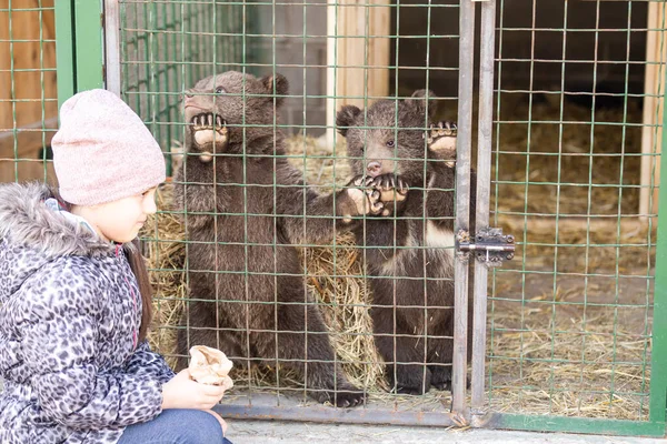 Mała dziewczynka karmi niedźwiedzia w klatce — Zdjęcie stockowe