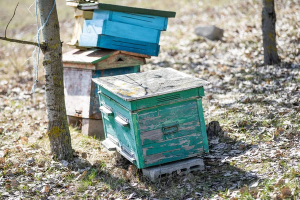 Staré včelí úly ve včelíně na jaře. — Stock fotografie